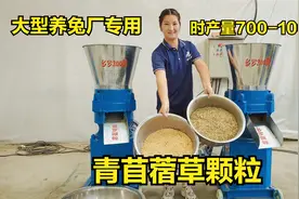大型兔饲料颗粒如何制作？时产700-1000kg青苜蓿草颗粒，值得推荐
