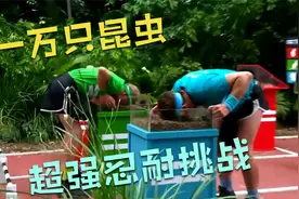 英国奇葩真人秀，把脸放进一万只昆虫之中，考验人类的忍耐极限视频封面