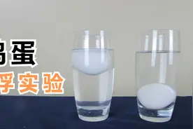 6个简单的科学小实验，鸡蛋为什么可以浮在水面上？视频封面