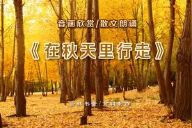 散文朗诵《在秋天里行走》│从音画中欣赏秋的魅力，感受秋的梦幻
