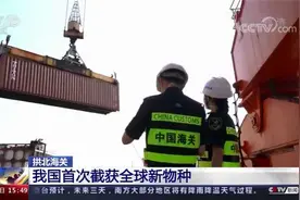 我国首次截获全球新物种视频封面