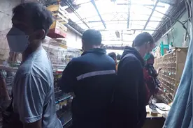 印尼的鸟店太“火爆了”，鸟友聚精会神看鸟，寸步难行啊! 210视频封面