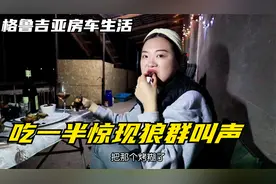 房车在户外露营烧烤，突然传出一片狼叫声，身边的狗不淡定了视频封面