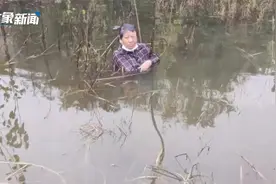 洛阳一大娘不慎失足落水抱小树求救，救援队合力将其从淤泥拽出视频封面