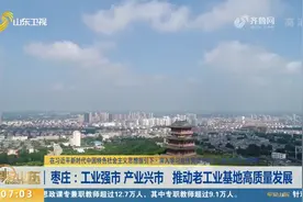 兴产业、抓技改，枣庄再造发展新优势，推动老工业基地高质量发展视频封面