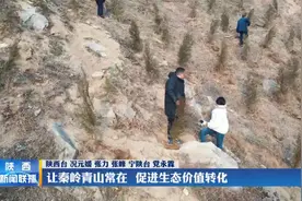 让秦岭青山常在  促进生态价值转化视频封面