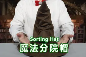哈利波特四大学院，你属于哪个？视频封面