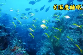 深度睡眠纯音乐，助眠减压，静心安神，缓解疲劳，快速入睡视频封面
