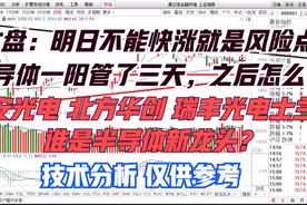 三安光电 北方华创 瑞丰光电 士兰微 谁是半导体新龙头？能持续否视频封面