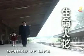 1995新加坡电视剧《生命火花》主题曲视频封面