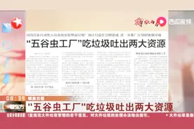 厉害了！五谷虫能处理湿垃圾？“五谷虫工厂”吃垃圾吐出两大资源