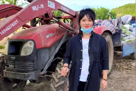 黑龙江青贮玉米种植大户，万亩粮田3台种植机全搞定，省力又省时视频封面