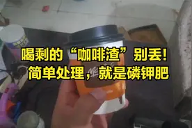 喝剩的“咖啡渣”别丢！简单处理，就是磷钾肥视频封面