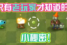 植物大战僵尸：盘点Pvz2中，只有老玩家才知道的小秘密！视频封面