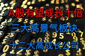 A股有望成长十倍的三大高景气板块，十二大高成长龙头公司！视频封面