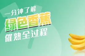 怎么把绿色香蕉变黄？用这种办法催熟，不仅颜色好看，味道也更甜