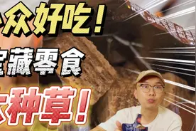 无广安利！这些小众宝藏零食也太神了吧！视频封面