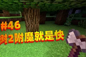 我的世界贝爷联机46 砍树2的斧头用来砍树就是快 像连锁挖矿一样视频封面