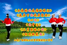 《今夜的雨是谁的眼泪》《夜在下雨我在想你》《心雨》《雨中泪》