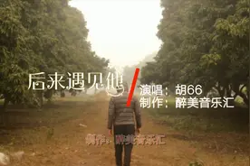 后来遇见他-胡66 从此我不能听见你的消息 我怕我控制不住自己视频封面