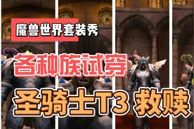 魔兽世界全种族套装-圣骑士T3救赎视频封面