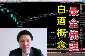 大消费概念龙头！白酒板块及个股投资机会全梳理视频封面
