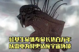 宇宙中的硅基生命体，寿命长达百万年，以雷电为食更适应宇宙环境