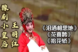 盘点豫剧小皇后王红丽经典唱段，韵味十足，真是让人百听不厌！视频封面