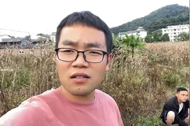 学农大学生“论文”种在校外，竟被同学养的鸡吃了！视频封面