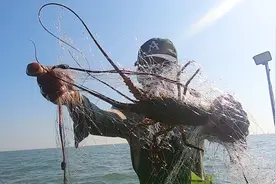 馒头捕鱼多年首次碰到，捕到三百一斤的大龙虾都亏损，直呼太惨了视频封面