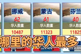 全球各地华人的数量前46，没想到印度竟然也有5000左右视频封面