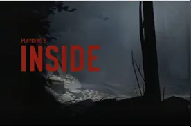 【inside】冒险游戏实况第一期被狗追，被小鸡纠缠，还要被猪逼迫