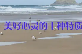 美好心灵的十种特质视频封面