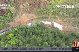 “3·21”东航MU5735航空器飞行事故 综合研判才能准确分析原因视频封面