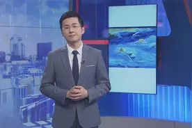 MH370事件真相大白？英国专家称发现飞机坠毁地点视频封面