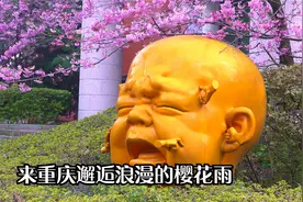 重庆春来早—来这里邂逅一场浪漫的“樱花雨”！视频封面
