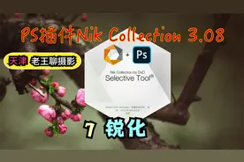 强大后期处理插件Nik Collection 3.08，第七讲：照片的锐化处理