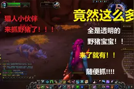 这里这么多透明野猪！来了就有，随便抓！猎人小伙伴们都抓了吗？视频封面
