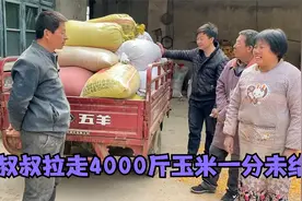 叔叔拉走4000斤玉米，公爹一分钱没要，婆婆越说越激动急的要卸车视频封面