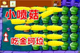 植物大战僵尸：小喷菇吃了金坷垃！僵王博士：手下留情，别打脸！视频封面