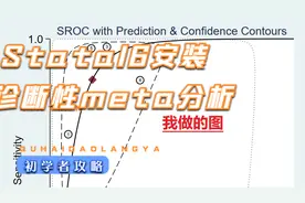 stata16安装+诊断性meta分析