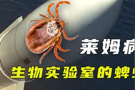 摧毁艾薇儿和比伯的莱姆病，潜伏杀手蜱虫，竟来自美国的实验室？视频封面
