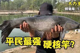 新晋网红爆款，算得上是平民最强硬核竿吗？测评：大力王者鲟鱼版视频封面
