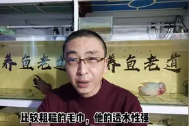 一块毛巾就可以解决鱼缸浑水、绿水问题？是的，只要操作得当视频封面