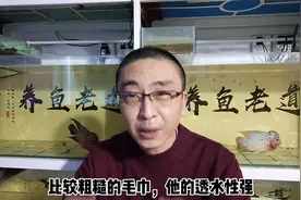 一块毛巾就可以解决鱼缸浑水、绿水问题？是的，只要操作得当