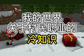 我的世界村民职业冷知识视频封面