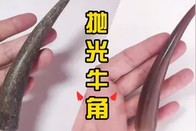 30块钱买的牛角，随便磨一下，变成你买不起的样子