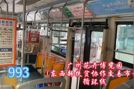 广州新穗巴士，993（广州花卉博览园东西部扶贫协作交易市场）视频封面