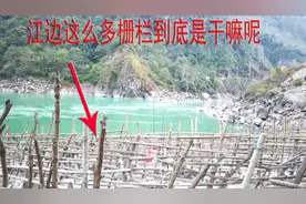 大自然的回馈，怒江边的木栅栏拦木材，再名贵也只能当柴烧