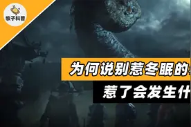 为何说别惹冬眠的蛇，惹了之后会发生什么，蛇冬眠不会虚弱吗？视频封面